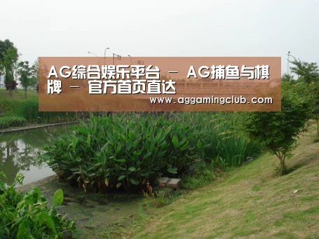 案例展示四(图1)