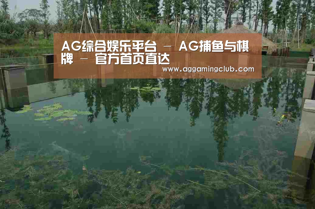 案例展示二(图1)