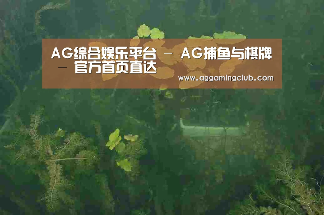 案例展示三(图1)
