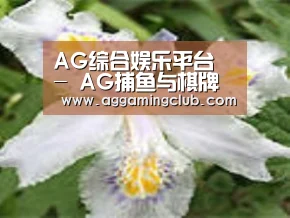 产品名称二