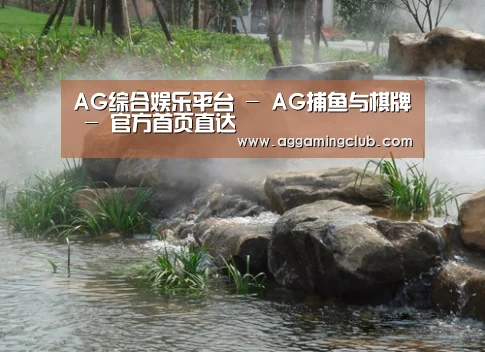 案例展示五