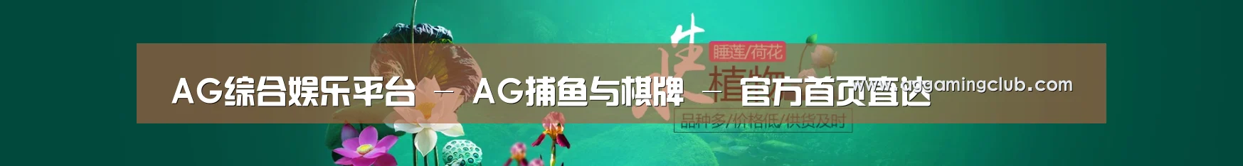 鲜花水草花卉网站模板